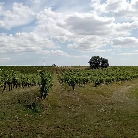 Maisonnette Neuve Ferienhaus *