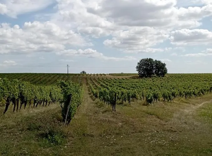 Maisonnette Neuve Holiday home *